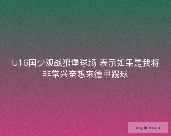 U16国少观战狼堡球场 表示如果是我将非常兴奋想来德甲踢球